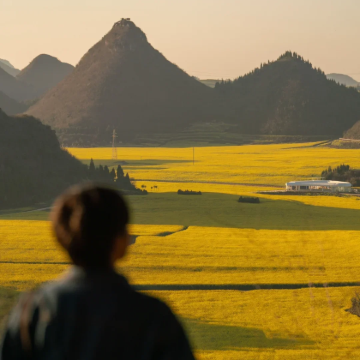 云南昆明+抚仙湖+建水+元阳+弥勒+罗平6日5晚拼小团