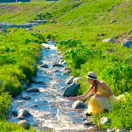 新疆乌鲁木齐+北疆+南疆12日11晚跟团游