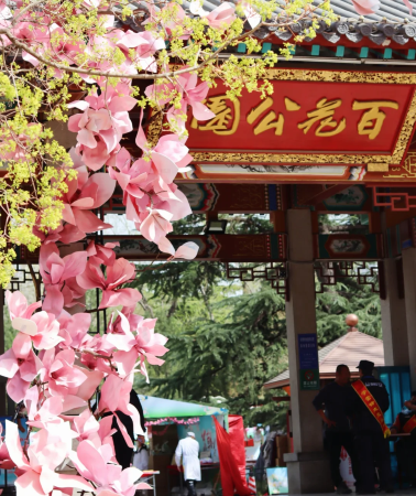 6天5晚 • 濟南＋泰安＋濰坊＋青島丨登泰山賞美景＋老城漫步丨全程五星飯店＋贈送流量卡