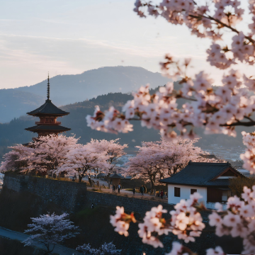 日本大阪+和歌山市6日5晚私家团