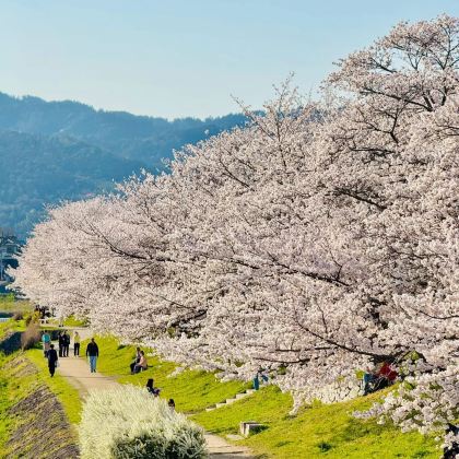 日本札幌+小樽+登别+美瑛町2日1晚跟团游