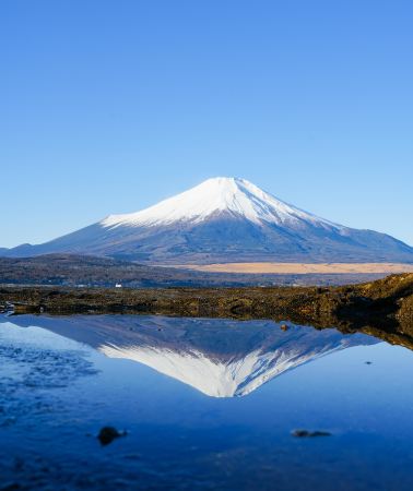 6日5晚 • 東京富士山 | 富士山秘境 × 東京經典景點，2 天包車配搭自由時光
