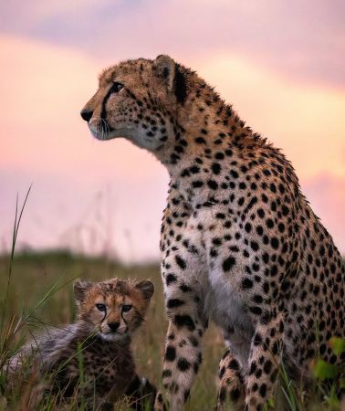 7D6N • North of the equator, south of the wild: a seven-day wilderness love letter to Kenya