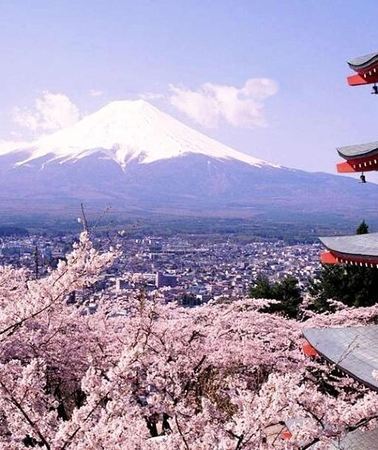 2D1N • Mt Fuji and Izu Deep View 2 Day Tour from Tokyo