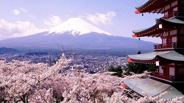 2D1N · Group Tours · Mt Fuji and Izu Deep View 2 Day Tour from Tokyo