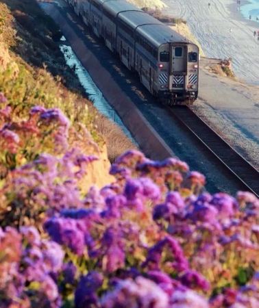 10D9N • San Francisco - CA-1 Highway: Monterey Bay - 17-Mile Drive - Big Sur + USS Midway Museum, San Diego - Santa Monica Beach, Los Angeles