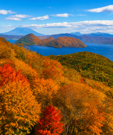 7D6N • Tokyo and Hokkaido Scenic Journey: Hakodate, Lake Toya, Mount Usu Ropeway, Noboribetsu, Otaru Canal, and Sapporo
