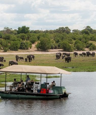 3D2N • 2 Nights 3 Days Chobe Safari ex Livingstone/ Victoria Falls