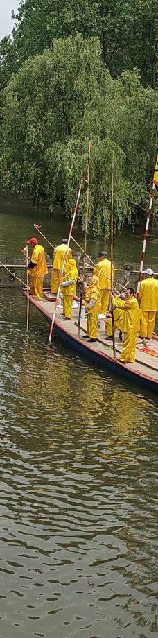 溱湖国家湿地公园-泰州