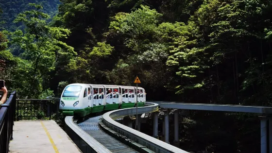 三爪侖國家森林公園