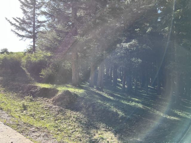 焉支山(暂停开放)旅行图片 5