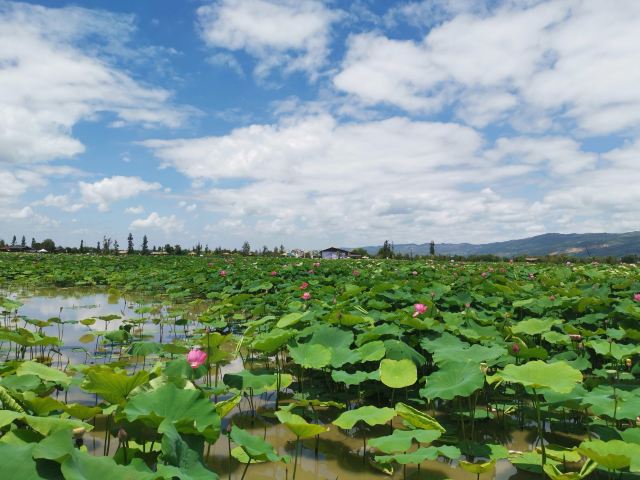 麒麟水乡旅行图片 3