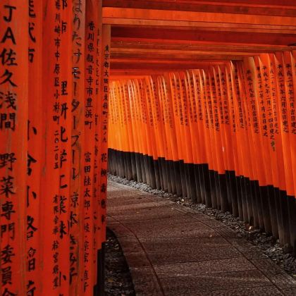 日本大阪+奈良+京都+箕面市+神户+大阪海游馆+奈良公园+伏见稻荷大社+有马温泉乡+瑠璃光院+琵琶湖9日8晚私家团