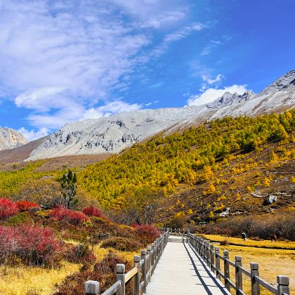 丽江+香格里拉+稻城亚丁+泸沽湖6日5晚拼小团