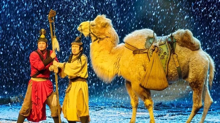 4-D Private Tour: Xi'an, Emperor Qinshihuang's Mausoleum Site Museum, Xi'an City Wall·  
