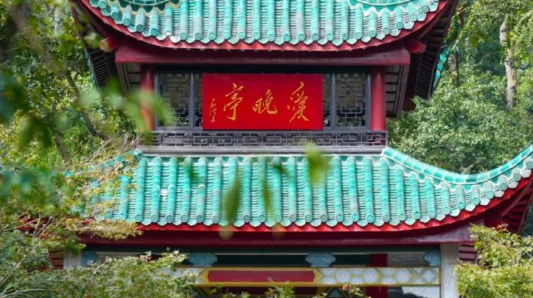 长沙+13