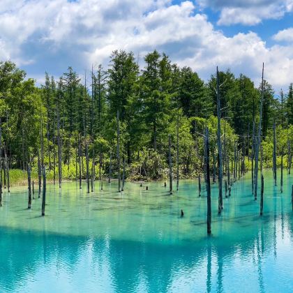 日本北海道登别+函馆+洞爷湖町+札幌9日8晚私家团