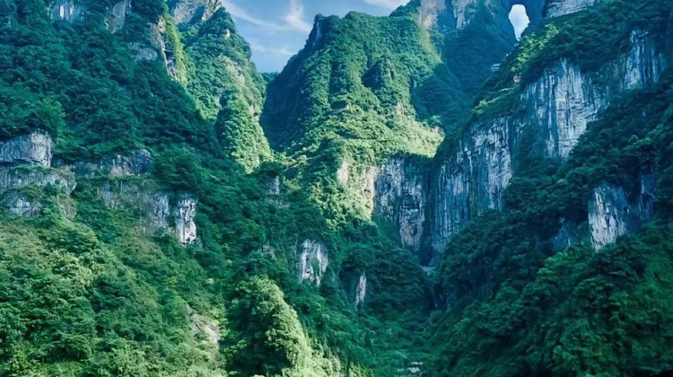 张家界+天门山3日2晚跟团游·【云阙潇湘】16人纯玩 2晚宿五钻 享景区VIP通道｜三大核心景区深度游：二进森林公园&金鞭溪大氧吧+黄龙洞【袁家界+天子山+十里画廊』赠百龙天梯+7455M高空索道】50餐标+可免费停车·当地参