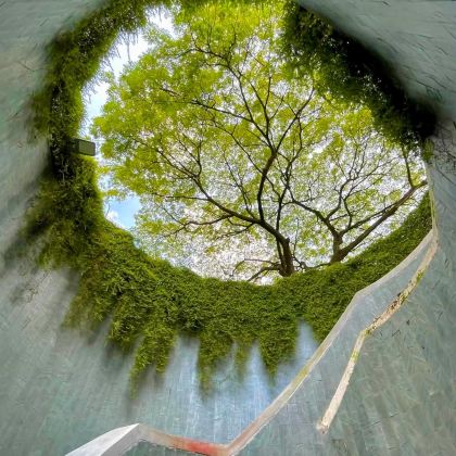 新加坡+丽贝岛6日5晚私家团