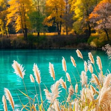 成都+三星堆博物馆+都江堰+青城山+成都大熊猫繁育研究基地4日3晚跟团游