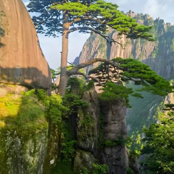 望仙谷+景德镇+婺源篁岭景区+黄山风景区+宏村景区4日3晚跟团游