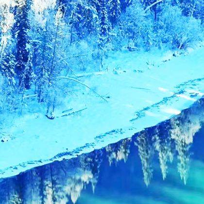 新疆北疆+喀纳斯景区+禾木风景区+世界魔鬼城4日3晚拼小团