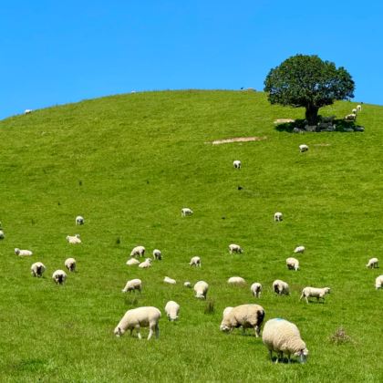 留尼汪（法属）3日2晚拼小团