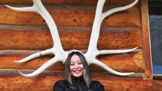 4-Day Aurora & Wildlife Viewing Tour · Whitehorse, Yukon, AuroraCentre, Yukon Wildlife Preserve