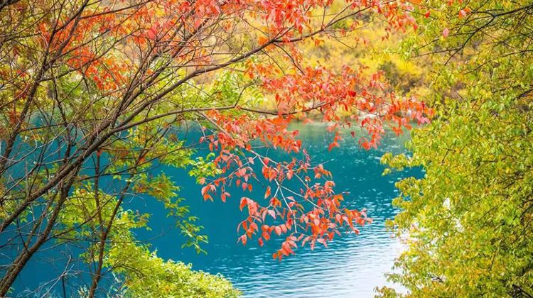 4D3N · Group Tours · Fairy-tale Jiuzhai + Dreamlike Huanglong + Cuddle cute pandas + Sanxingdui tour · Excellent guide · 4-diamond hotel · Contact for discounts