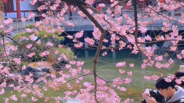 武汉+2