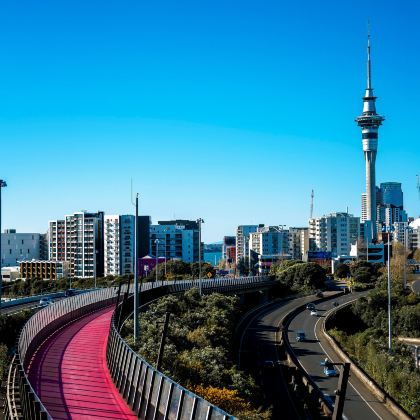 新西兰奥克兰+罗托鲁瓦+霍比特村4日跟团游