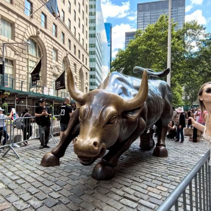 纽约8日6晚拼小团