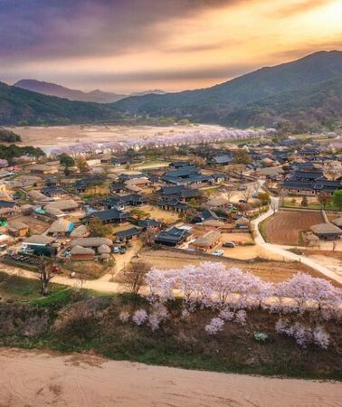 5D4N • 5-Day Korea Golden route by K-shuttle Tour from Seoul Including Busan, Yeosu