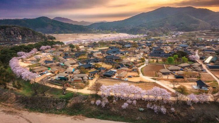 5-Day 5-Day Korea Golden route by K-shuttle Tour from Seoul Including Busan, Yeosu