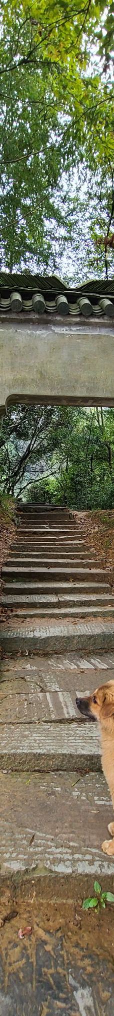 仙寓山景区-石台