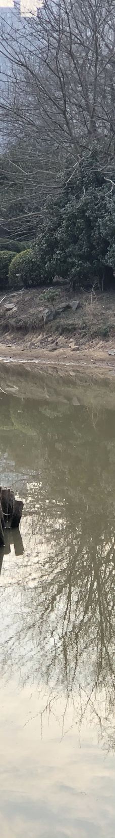 南昌动物园-南昌