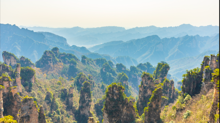 5D4N · Private Tours · Beat the summer heat in Zhangjiajie's cool forests. Enjoy private guided tours, water activities, and flexible vehicle upgrades for your group.