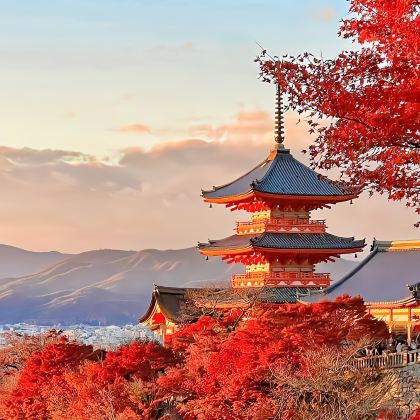 京都+岚山+清水寺+伏见稻荷大社2日1晚自由行