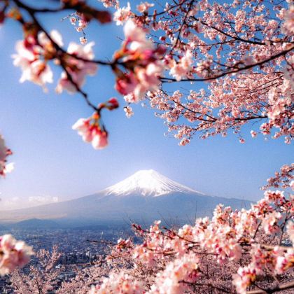 日本东京+富士山5日4晚跟团游