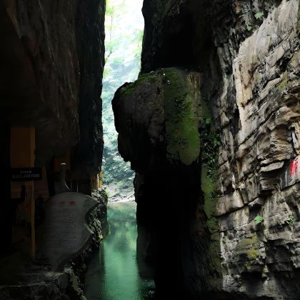 重庆+金刀峡+天眼洞花岭风景区+金刚碑·温泉老村+长江索道+磁器口古镇5日4晚私家团