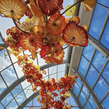 美国西雅图+太空针塔+波音工厂3日2晚拼小团