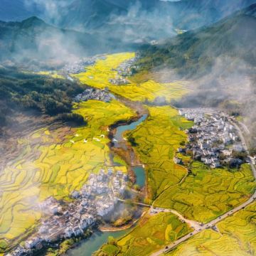 安徽黄山+婺源6日5晚私家团