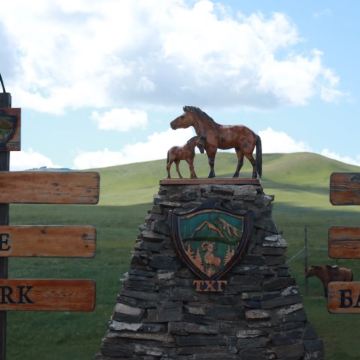 蒙古成吉思汗广场+苏赫巴托纪念碑+Genghis Khan National Museum Mongolia+甘丹寺+哈斯台国家公园+图勒河+成吉思汗骑马雕像+特日勒吉国家公园7日6晚私家团