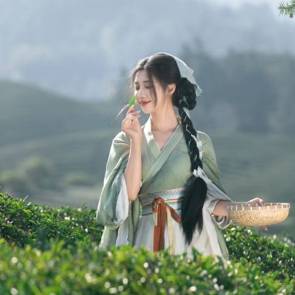 武夷山主景+九曲溪漂流4日3晚跟团游