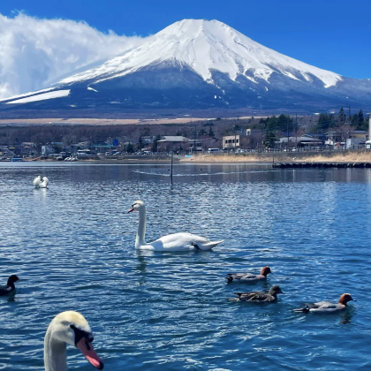 日本大阪+东京7日6晚自由行
