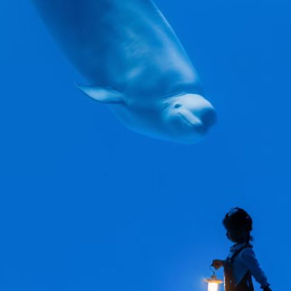 万宁+陵水+三亚6日5晚私家团