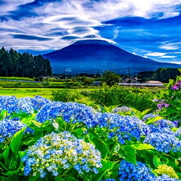 日本大阪+东京+日本环球影城+富士山7日6晚私家团