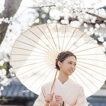 日本东京+大阪+富士山+京都+奈良+忍野村7日6晚拼小团