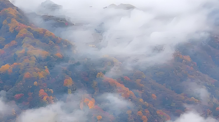 成都6天5晚家庭定制游，人均3500元能玩转熊猫基地都江堰峨眉山吗？