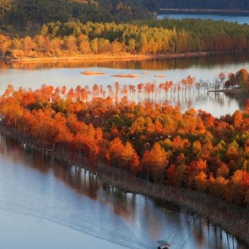 宣城皖南川藏线最美宁国段+落羽红杉林景区+敬亭山+储家滩2日1晚私家团